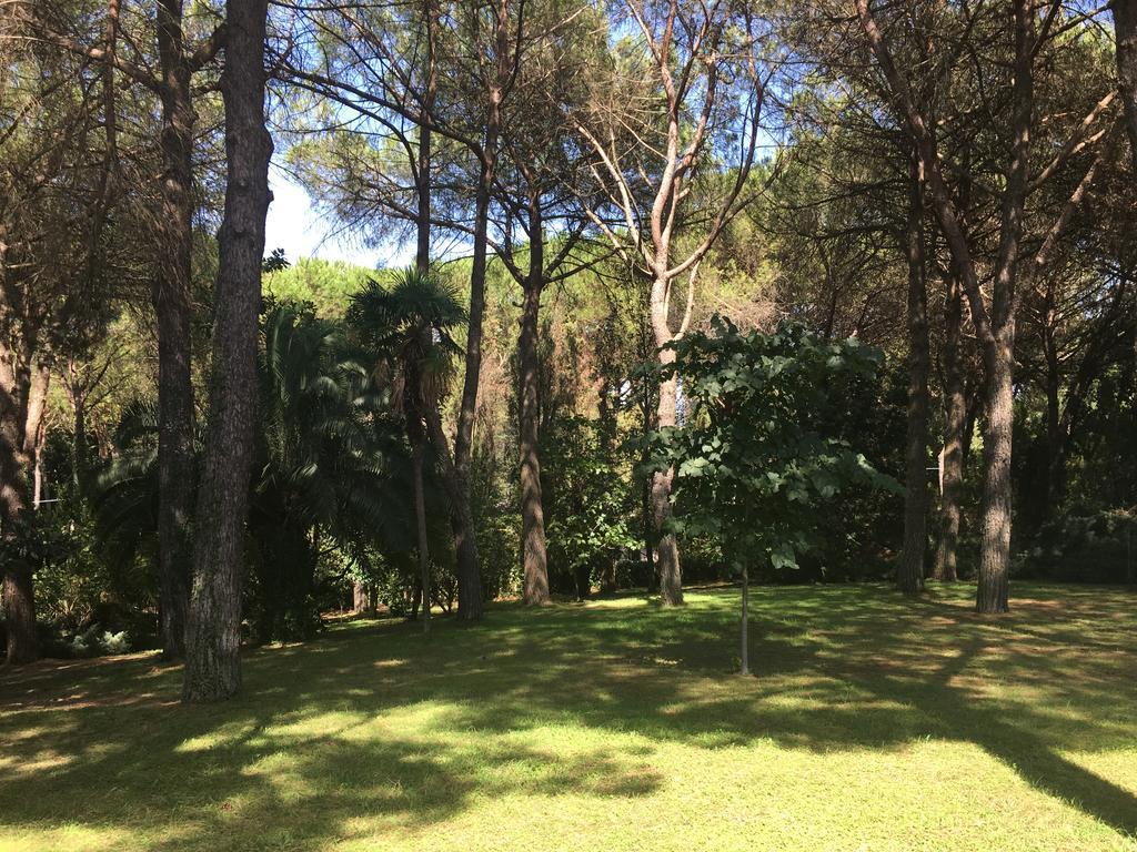 Il Parco Bracciano (Rome)